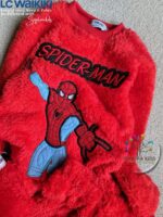 ⁦ال ءي سبايدر⁩ - الصورة ⁦5⁩