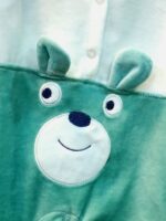 ⁦سالوبيت دب فيروزي⁩ - الصورة ⁦2⁩