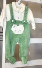 سالوبيت ارنوبي اخضر