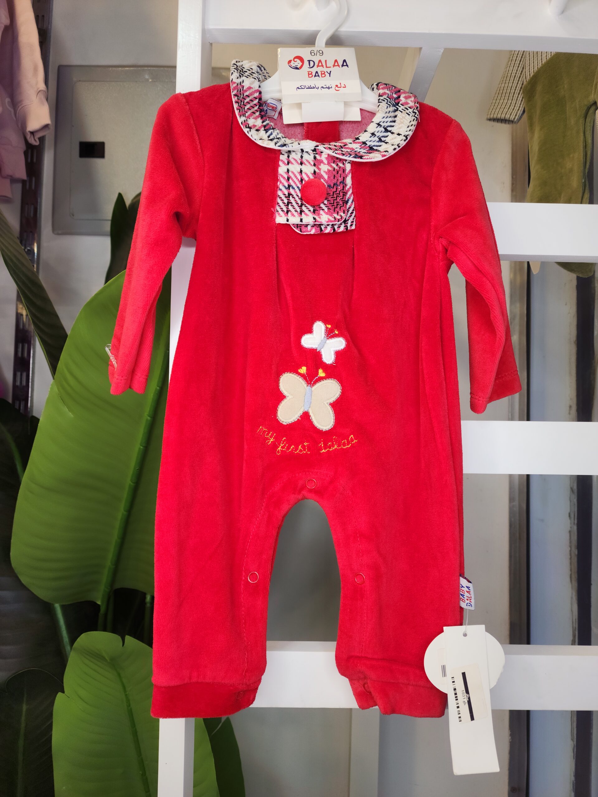 ٢٠٢٥١١١٥_١٥١٧٤٢ سالوبيت فراشة - الصورة 1